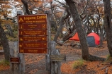 Argentina;Argentine-Patagonia;Argentine-Republic;autuminal;autumn;autumn-colour;autumn-colours;autumnal;beech;beech-tree;beech-trees;beeches;camp;camp-ground;camp-grounds;camping;camping-ground;camping-grounds;camps;campsite;camsites;color;colors;colour;colours;deciduous;El-Chalten;fall;Glacier-National-Park;gold;golden;hiking-path;hiking-paths;hiking-trail;hiking-trails;Laguna-Capri;Laguna-Capri-Camp;Laguna-Capri-Campground;Laguna-Capri-Campsite;Lake-Capri;Latin-America;leaf;leaves;lenga;lenga-beech;lengas;Los-Glaciares;Los-Glaciares-N.P.;Los-Glaciares-National-Park;Los-Glaciares-NP;national-park;national-parks;Northofagus;Northofagus-pumilio;NP;park;parks;Parque-Nacional-Los-Glaciares;Patagonia;Patagonian;path;paths;pathway;pathways;route;routes;Santa-Cruz-Province;season;seasonal;seasons;sign;signs;South-America;South-Argentina;Southern-Argentina;southern-beech;southern-beeches;Sth-America;tent;tents;track;tracks;trail;trails;tramping-trail;tramping-trails;tree;trees;UN-world-heritage-area;UN-world-heritage-site;UNESCO-World-Heritage-area;UNESCO-World-Heritage-Site;united-nations-world-heritage-area;united-nations-world-heritage-site;walking-path;walking-paths;walking-trail;walking-trails;walkway;walkways;world-heritage;world-heritage-area;world-heritage-areas;World-Heritage-Park;World-Heritage-site;World-Heritage-Sites;yellow