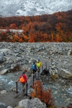 Argentina;Argentine-Patagonia;Argentine-Republic;autuminal;autumn;autumn-colour;autumn-colours;autumnal;beech;beech-tree;beech-trees;beeches;bridge;bridges;cold;color;colors;colour;colours;deciduous;El-Chalten;fall;foot-bridge;foot-bridges;footbridge;footbridges;Glacier-National-Park;gold;golden;hiker;hikers;hiking;hiking-path;hiking-paths;hiking-trail;hiking-trails;Latin-America;leaf;leaves;lenga;lenga-beech;lengas;Los-Glaciares;Los-Glaciares-N.P.;Los-Glaciares-National-Park;Los-Glaciares-NP;M.R.;model-release;model-released;MR;national-park;national-parks;Northofagus;Northofagus-pumilio;NP;park;parks;Parque-Nacional-Los-Glaciares;Patagonia;Patagonian;path;paths;pathway;pathways;pedestrian-bridge;pedestrian-bridges;people;person;river;rivers;route;routes;Santa-Cruz-Province;season;seasonal;seasons;snow;snowy;South-America;South-Argentina;Southern-Argentina;southern-beech;southern-beeches;Sth-America;track;tracks;trail;trails;tramper;trampers;tramping;tramping-trail;tramping-trails;tree;trees;trekker;trekkers;trekking;UN-world-heritage-area;UN-world-heritage-site;UNESCO-World-Heritage-area;UNESCO-World-Heritage-Site;united-nations-world-heritage-area;united-nations-world-heritage-site;walker;walkers;walking;walking-path;walking-paths;walking-trail;walking-trails;walkway;walkways;world-heritage;world-heritage-area;world-heritage-areas;World-Heritage-Park;World-Heritage-site;World-Heritage-Sites;yellow