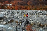 Argentina;Argentine-Patagonia;Argentine-Republic;autuminal;autumn;autumn-colour;autumn-colours;autumnal;beech;beech-tree;beech-trees;beeches;bridge;bridges;color;colors;colour;colours;deciduous;El-Chalten;fall;foot-bridge;foot-bridges;footbridge;footbridges;Glacier-National-Park;gold;golden;hiker;hikers;hiking;hiking-path;hiking-paths;hiking-trail;hiking-trails;Latin-America;leaf;leaves;lenga;lenga-beech;lengas;Los-Glaciares;Los-Glaciares-N.P.;Los-Glaciares-National-Park;Los-Glaciares-NP;M.R.;model-release;model-released;MR;national-park;national-parks;Northofagus;Northofagus-pumilio;NP;park;parks;Parque-Nacional-Los-Glaciares;Patagonia;Patagonian;path;paths;pathway;pathways;pedestrian-bridge;pedestrian-bridges;people;person;river;rivers;route;routes;Santa-Cruz-Province;season;seasonal;seasons;South-America;South-Argentina;Southern-Argentina;southern-beech;southern-beeches;Sth-America;track;tracks;trail;trails;tramper;trampers;tramping;tramping-trail;tramping-trails;tree;trees;trekker;trekkers;trekking;UN-world-heritage-area;UN-world-heritage-site;UNESCO-World-Heritage-area;UNESCO-World-Heritage-Site;united-nations-world-heritage-area;united-nations-world-heritage-site;walker;walkers;walking;walking-path;walking-paths;walking-trail;walking-trails;walkway;walkways;world-heritage;world-heritage-area;world-heritage-areas;World-Heritage-Park;World-Heritage-site;World-Heritage-Sites;yellow