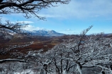 Argentina;Argentine-Patagonia;Argentine-Republic;cold;El-Chalten;forest;forests;Glacier-National-Park;Latin-America;Los-Glaciares;Los-Glaciares-N.P.;Los-Glaciares-National-Park;Los-Glaciares-NP;mountain;mountains;national-park;national-parks;NP;park;parks;Parque-Nacional-Los-Glaciares;Patagonia;Patagonian;Santa-Cruz-Province;snow;snowy;snowy-forest;South-America;South-Argentina;Southern-Argentina;Sth-America;UN-world-heritage-area;UN-world-heritage-site;UNESCO-World-Heritage-area;UNESCO-World-Heritage-Site;united-nations-world-heritage-area;united-nations-world-heritage-site;world-heritage;world-heritage-area;world-heritage-areas;World-Heritage-Park;World-Heritage-site;World-Heritage-Sites