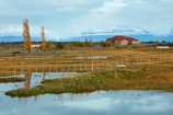 agricultural;agriculture;Argentina;Argentine-Patagonia;Argentine-Republic;autuminal;autumn;autumn-colour;autumn-colours;autumnal;color;colors;colour;colours;country;countryside;deciduous;fall;farm;farmhouse;farmhouses;farming;farmland;farms;field;fields;gold;golden;house;house-houses;houses;Latin-America;leaf;leaves;meadow;meadows;paddock;paddocks;pasture;pastures;Patagonia;Patagonian;Patagonian-steppe;rural;Santa-Cruz-Province;season;seasonal;seasons;South-America;South-Argentina;Southern-Argentina;Sth-America;tree;trees;yellow