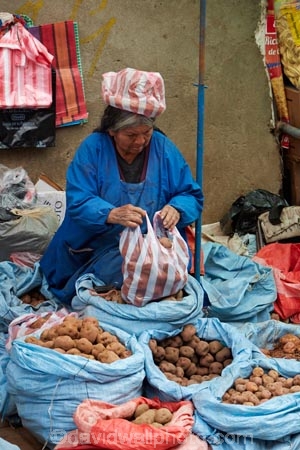 Aymara;Bolivia;capital;Capital-of-Bolivia;cholita;cholitas;Chuqi-Yapu;commerce;commercial;El-Alto-market;El-Alto-markets;farmer-market;farmer-markets;farmers-market;farmers-markets;farmers-market;farmers-markets;female;food;food-market;food-markets;food-stall;food-stalls;fruit-and-vegetables;fruit-market;fruit-markets;indigenous;La-Paz;Latin-America;market;market-day;market-days;market-place;market_place;marketplace;markets;Nuestra-SeÃ±ora-de-La-Paz;people;person;potato;potatoes;produce;produce-market;produce-markets;product;products;retail;retailer;retailers;South-America;stall;stalls;steet-scene;Sth-America;street-scenes;The-Americas;vegetable;vegetable-market;vegetables;woman;women