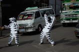 Bolivia;capital;Capital-of-Bolivia;Chuqi-Yapu;crossing-zebra;crossing-zebras;crosswalk;crosswalks;La-Paz;Latin-America;Nuestra-Señora-de-La-Paz;pedestrian-crossing;pedestrian-crossings;safety;South-America;Sth-America;The-Americas;traffic-safety;Traffic-zebra;Traffic-zebras;zebra;zebra-costume;zebra-costumes;Zebra-crossing;zebra-crossings;zebra-urban-educators;zebra-urban-educators-of-La-Paz;zebras