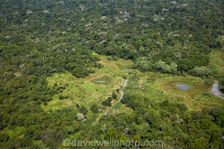 aerial;aerial-image;aerial-images;aerial-photo;aerial-photograph;aerial-photographs;aerial-photography;aerial-photos;aerial-view;aerial-views;aerials;Brasil;Brazil;Cataratas-del-IguazÃº;environment;forest;forests;green;Iguacu-Falls;Iguassu-Falls;Iguazu-Falls;IguazÃº-Falls;IguaÃ§u-Falls;Latin-America;lush;national-park;national-parks;Parana-State;ParanÃ¡;ParanÃ¡-State;rain-forest;rain-forests;rain_forest;rain_forests;rainforest;rainforests;South-America;Sth-America;The-Iguazu-Falls;tree;trees