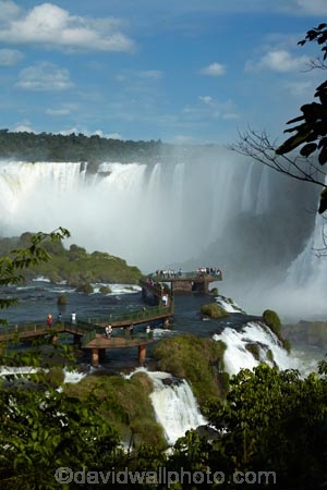 Argentina;border;borders;Brasil;Brazil;cascade;cascades;Cataratas-del-IguazÃº;Devils-Throat;Devils-Throat;fall;falls;Garganta-do-Diabo;Gargantua-del-Diablo;Iguacu-Falls;Iguacu-National-Park;Iguacu-River;Iguassu-Falls;Iguassu-National-Park;Iguazu-Falls;Iguazu-National-Park;Iguazu-River;IguazÃº-Falls;IguazÃº-National-Park;IguaÃ§u-Falls;IguaÃ§u-National-Park;Latin-America;Misiones;Misiones-Province;mist;mists;misty;national-park;national-parks;natural;nature;Parana;Parana-State;ParanÃ¡;ParanÃ¡-State;people;platform;platforms;scene;scenic;South-America;spray;Sth-America;The-Iguazu-Falls;tourism;tourist;tourists;travel;UN-world-heritage-area;UN-world-heritage-site;UNESCO-World-Heritage-area;UNESCO-World-Heritage-Site;united-nations-world-heritage-area;united-nations-world-heritage-site;viewing-platform;viewing-platforms;walkway;walkways;water;water-fall;water-falls;waterfall;waterfalls;wet;world-heritage;world-heritage-area;world-heritage-areas;World-Heritage-Park;World-Heritage-site;World-Heritage-Sites