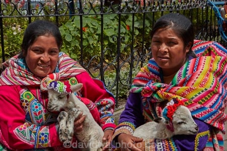 alpaca;alpacas;Andean;animal;Cusco;Cuzco;indigenous;indigenous-Peruvian;indigenous-Peruvians;Latin-America;Native-Peruvian;Native-Peruvians;people;person;Peru;Peruvian;Peruvians;Quechua;Quechua-People;Republic-of-Peru;South-America;Sth-America;stock;tourism;traditional-clothes;traditional-costume;traditional-costumes;traditional-dress;travel;UN-world-heritage-area;UN-world-heritage-site;UNESCO-World-Heritage-area;UNESCO-World-Heritage-Site;united-nations-world-heritage-area;united-nations-world-heritage-site;Vicugna-pacos;world-heritage;world-heritage-area;world-heritage-areas;World-Heritage-Park;World-Heritage-site;World-Heritage-Sites