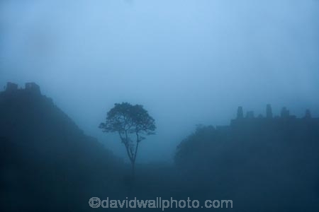 ancient;ancient-culture;archaeology;attraction;Camino-Inca;Camino-Inka;Cusco-Region;destination;heritage;historic;history;Inca;Inca-Citadel;Inca-City;Inca-Ruins;Inca-site;Inca-Trail;Inka;Latin-America;lost-city;Machu-Picchu;Machu-Pichu;Machupicchu-District;Peru;rain;raining;rainy;Republic-of-Peru;ruin;ruins;Sacred-Valley;Sacred-Valley-of-the-Incas;South-America;Sth-America;tourist-attraction;tourist-site;tourist-sites;tree;trees;UN-world-heritage-area;UN-world-heritage-site;UNESCO-World-Heritage-area;UNESCO-World-Heritage-Site;united-nations-world-heritage-area;united-nations-world-heritage-site;Urubamba-Province;Urubamba-Valley;wet;world-heritage;world-heritage-area;world-heritage-areas;World-Heritage-Park;World-Heritage-site;World-Heritage-Sites