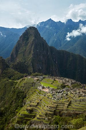 ancient;ancient-culture;archaeology;attraction;building;buildings;Camino-Inca;Camino-Inka;Cusco-Region;destination;heritage;historic;historic-building;historic-buildings;historical;historical-building;historical-buildings;history;Huayna-Picchu;Huayna-Picchu-Peak;Inca;Inca-Citadel;Inca-City;Inca-Ruins;Inca-site;Inca-Trail;Inka;Latin-America;lost-city;Machu-Picchu;Machu-Pichu;Machupicchu-District;old;Peru;Republic-of-Peru;ruin;ruins;Sacred-Valley;Sacred-Valley-of-the-Incas;seven-wonders;seven-wonders-of-the-world;South-America;Sth-America;tourism;tourist-attraction;tourist-site;tourist-sites;tradition;traditional;travel;UN-world-heritage-area;UN-world-heritage-site;UNESCO-World-Heritage-area;UNESCO-World-Heritage-Site;united-nations-world-heritage-area;united-nations-world-heritage-site;Urubamba-Province;Urubamba-Valley;wonders-of-the-world;world-heritage;world-heritage-area;world-heritage-areas;World-Heritage-Park;World-Heritage-site;World-Heritage-Sites