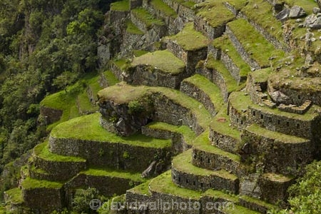 agricultural-terraces;ancient;ancient-culture;archaeology;attraction;building;buildings;Camino-Inca;Camino-Inka;crop-terraces;cultivation-terraces;Cusco-Region;destination;growing-terraces;heritage;historic;historic-building;historic-buildings;historical;historical-building;historical-buildings;history;horticultural-terraces;Inca;Inca-Citadel;Inca-City;Inca-Ruins;Inca-Trail;Inka;Latin-America;lost-city;Machu-Picchu;Machu-Pichu;Machupicchu-District;old;Peru;Republic-of-Peru;retaining-wall;retaining-walls;ruin;ruins;Sacred-Valley;Sacred-Valley-of-the-Incas;South-America;Sth-America;terrace;terraced;terraces;terracing;tourist-attraction;tourist-site;tourist-sites;tradition;traditional;UN-world-heritage-area;UN-world-heritage-site;UNESCO-World-Heritage-area;UNESCO-World-Heritage-Site;united-nations-world-heritage-area;united-nations-world-heritage-site;Urubamba-Province;Urubamba-Valley;world-heritage;world-heritage-area;world-heritage-areas;World-Heritage-Park;World-Heritage-site;World-Heritage-Sites