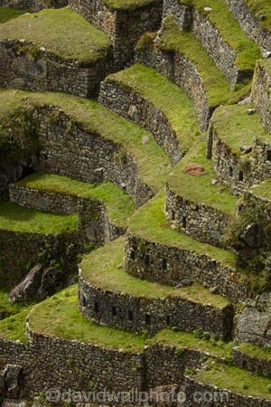 agricultural-terraces;ancient;ancient-culture;archaeology;attraction;building;buildings;Camino-Inca;Camino-Inka;crop-terraces;cultivation-terraces;Cusco-Region;destination;growing-terraces;heritage;historic;historic-building;historic-buildings;historical;historical-building;historical-buildings;history;horticultural-terraces;Inca;Inca-Citadel;Inca-City;Inca-Ruins;Inca-Trail;Inka;Latin-America;lost-city;Machu-Picchu;Machu-Pichu;Machupicchu-District;old;Peru;Republic-of-Peru;retaining-wall;retaining-walls;ruin;ruins;Sacred-Valley;Sacred-Valley-of-the-Incas;South-America;Sth-America;terrace;terraced;terraces;terracing;tourist-attraction;tourist-site;tourist-sites;tradition;traditional;UN-world-heritage-area;UN-world-heritage-site;UNESCO-World-Heritage-area;UNESCO-World-Heritage-Site;united-nations-world-heritage-area;united-nations-world-heritage-site;Urubamba-Province;Urubamba-Valley;world-heritage;world-heritage-area;world-heritage-areas;World-Heritage-Park;World-Heritage-site;World-Heritage-Sites