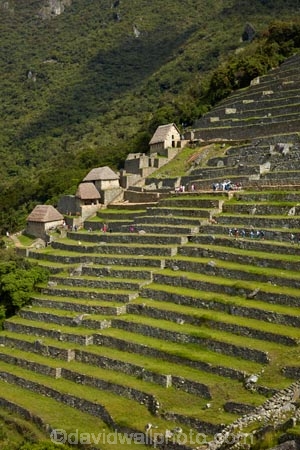 agricultural-terraces;ancient;ancient-culture;archaeology;attraction;building;buildings;Camino-Inca;Camino-Inka;central-terraces;crop-terraces;cultivation-terraces;Cusco-Region;destination;geometric;growing-terraces;heritage;historic;historic-building;historic-buildings;historical;historical-building;historical-buildings;history;horticultural-terraces;Inca;Inca-Citadel;Inca-City;Inca-Ruins;Inca-Trail;Inka;Latin-America;lost-city;Lower-agricultural-sector;Machu-Picchu;Machu-Pichu;Machupicchu-District;old;pattern;patterns;people;person;Peru;Republic-of-Peru;retaining-wall;retaining-walls;ruin;ruins;Sacred-Valley;Sacred-Valley-of-the-Incas;South-America;stepped;Sth-America;terrace;terraced;terraces;terracing;tourism;tourist;tourist-attraction;tourist-site;tourist-sites;tourists;tradition;traditional;travel;UN-world-heritage-area;UN-world-heritage-site;UNESCO-World-Heritage-area;UNESCO-World-Heritage-Site;united-nations-world-heritage-area;united-nations-world-heritage-site;Urubamba-Province;Urubamba-Valley;visitors;world-heritage;world-heritage-area;world-heritage-areas;World-Heritage-Park;World-Heritage-site;World-Heritage-Sites