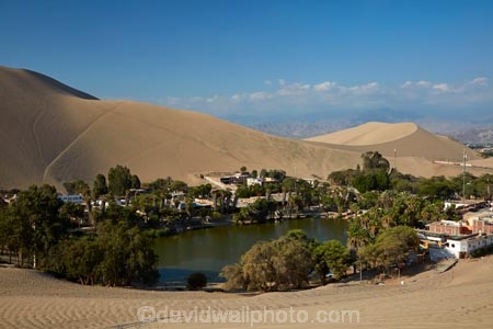 desert;deserts;dune;dunes;Huacachina;Huacachina-Desert;Huacachina-Lagoon;Huacachina-Lake;Huacachina-Oasis;Ica;Ica-Desert;Ica-Region;lagoon;lagoons;Laguna-de-Huacachina;Laguna-Huacachina;lake;Lake-Huacachina;lakes;Latin-America;oasis;palm-trees;Peru;Peruvian-Desert;Republic-of-Peru;sand;sand-dune;sand-dunes;sand-hill;sand-hills;sand_dune;sand_dunes;sand_hill;sand_hills;sanddune;sanddunes;sandhill;sandhills;sandy;South-America;Sth-America;tourism;travel