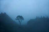 ancient;ancient-culture;archaeology;attraction;Camino-Inca;Camino-Inka;Cusco-Region;destination;heritage;historic;history;Inca;Inca-Citadel;Inca-City;Inca-Ruins;Inca-site;Inca-Trail;Inka;Latin-America;lost-city;Machu-Picchu;Machu-Pichu;Machupicchu-District;Peru;rain;raining;rainy;Republic-of-Peru;ruin;ruins;Sacred-Valley;Sacred-Valley-of-the-Incas;South-America;Sth-America;tourist-attraction;tourist-site;tourist-sites;tree;trees;UN-world-heritage-area;UN-world-heritage-site;UNESCO-World-Heritage-area;UNESCO-World-Heritage-Site;united-nations-world-heritage-area;united-nations-world-heritage-site;Urubamba-Province;Urubamba-Valley;wet;world-heritage;world-heritage-area;world-heritage-areas;World-Heritage-Park;World-Heritage-site;World-Heritage-Sites