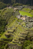 agricultural-terraces;ancient;ancient-culture;archaeology;attraction;building;buildings;Camino-Inca;Camino-Inka;crop-terraces;cultivation-terraces;Cusco-Region;destination;growing-terraces;heritage;historic;historic-building;historic-buildings;historical;historical-building;historical-buildings;history;horticultural-terraces;Inca;Inca-Citadel;Inca-City;Inca-Ruins;Inca-Trail;Inka;Latin-America;lost-city;Machu-Picchu;Machu-Pichu;Machupicchu-District;old;Peru;Republic-of-Peru;retaining-wall;retaining-walls;ruin;ruins;Sacred-Valley;Sacred-Valley-of-the-Incas;seven-wonders;seven-wonders-of-the-world;South-America;stepped;Sth-America;terrace;terraced;terraces;terracing;tourism;tourist-attraction;tourist-site;tourist-sites;tradition;traditional;travel;UN-world-heritage-area;UN-world-heritage-site;UNESCO-World-Heritage-area;UNESCO-World-Heritage-Site;united-nations-world-heritage-area;united-nations-world-heritage-site;Urubamba-Province;Urubamba-Valley;wonders-of-the-world;world-heritage;world-heritage-area;world-heritage-areas;World-Heritage-Park;World-Heritage-site;World-Heritage-Sites