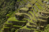agricultural-terraces;ancient;ancient-culture;archaeology;attraction;building;buildings;Camino-Inca;Camino-Inka;crop-terraces;cultivation-terraces;Cusco-Region;destination;growing-terraces;heritage;historic;historic-building;historic-buildings;historical;historical-building;historical-buildings;history;horticultural-terraces;Inca;Inca-Citadel;Inca-City;Inca-Ruins;Inca-Trail;Inka;Latin-America;lost-city;Machu-Picchu;Machu-Pichu;Machupicchu-District;old;Peru;Republic-of-Peru;retaining-wall;retaining-walls;ruin;ruins;Sacred-Valley;Sacred-Valley-of-the-Incas;South-America;Sth-America;terrace;terraced;terraces;terracing;tourist-attraction;tourist-site;tourist-sites;tradition;traditional;UN-world-heritage-area;UN-world-heritage-site;UNESCO-World-Heritage-area;UNESCO-World-Heritage-Site;united-nations-world-heritage-area;united-nations-world-heritage-site;Urubamba-Province;Urubamba-Valley;world-heritage;world-heritage-area;world-heritage-areas;World-Heritage-Park;World-Heritage-site;World-Heritage-Sites