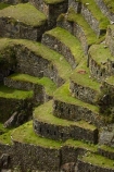 agricultural-terraces;ancient;ancient-culture;archaeology;attraction;building;buildings;Camino-Inca;Camino-Inka;crop-terraces;cultivation-terraces;Cusco-Region;destination;growing-terraces;heritage;historic;historic-building;historic-buildings;historical;historical-building;historical-buildings;history;horticultural-terraces;Inca;Inca-Citadel;Inca-City;Inca-Ruins;Inca-Trail;Inka;Latin-America;lost-city;Machu-Picchu;Machu-Pichu;Machupicchu-District;old;Peru;Republic-of-Peru;retaining-wall;retaining-walls;ruin;ruins;Sacred-Valley;Sacred-Valley-of-the-Incas;South-America;Sth-America;terrace;terraced;terraces;terracing;tourist-attraction;tourist-site;tourist-sites;tradition;traditional;UN-world-heritage-area;UN-world-heritage-site;UNESCO-World-Heritage-area;UNESCO-World-Heritage-Site;united-nations-world-heritage-area;united-nations-world-heritage-site;Urubamba-Province;Urubamba-Valley;world-heritage;world-heritage-area;world-heritage-areas;World-Heritage-Park;World-Heritage-site;World-Heritage-Sites