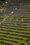 agricultural-terraces;ancient;ancient-culture;archaeology;attraction;building;buildings;Camino-Inca;Camino-Inka;central-terraces;crop-terraces;cultivation-terraces;Cusco-Region;destination;geometric;growing-terraces;heritage;historic;historic-building;historic-buildings;historical;historical-building;historical-buildings;history;horticultural-terraces;Inca;Inca-Citadel;Inca-City;Inca-Ruins;Inca-Trail;Inka;Latin-America;lost-city;Lower-agricultural-sector;Machu-Picchu;Machu-Pichu;Machupicchu-District;old;pattern;patterns;people;person;Peru;Republic-of-Peru;retaining-wall;retaining-walls;ruin;ruins;Sacred-Valley;Sacred-Valley-of-the-Incas;South-America;stepped;Sth-America;terrace;terraced;terraces;terracing;tourism;tourist;tourist-attraction;tourist-site;tourist-sites;tourists;tradition;traditional;travel;UN-world-heritage-area;UN-world-heritage-site;UNESCO-World-Heritage-area;UNESCO-World-Heritage-Site;united-nations-world-heritage-area;united-nations-world-heritage-site;Urubamba-Province;Urubamba-Valley;visitors;world-heritage;world-heritage-area;world-heritage-areas;World-Heritage-Park;World-Heritage-site;World-Heritage-Sites