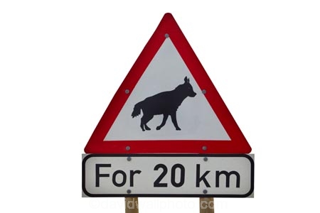 20km;Africa;B4-road;Brown-Hyena;Hyaena-brunnea;Namibia;Parahyaena-brunnea;road-sign;road-signs;road-warning-sign;road-warning-signs;sign;signs;Southern-Namibia;warning-sign;warning-signs;wildlife-sign;wildlife-signs;cutout