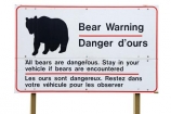 wildlife;bear;warning;danger;Canada;Canadian;North-America;cutout;cut;out