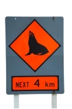 driving;highway;New-Zealand;fur-seal;NZ;orange;road;warning;sign;cutout;cut;out;seal