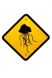 Australia;Australian;box;Jellyfish;stingers;sign;warning;Western-Australia;cutout;cut;out