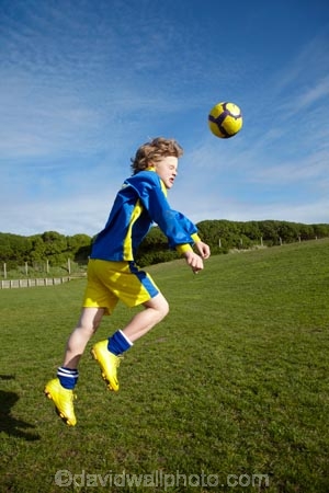 ball;balls;blue;boy;boys;brother;brothers;child;children;childrens-nike-mercurial-boots;Dunedin;football;game;games;gold;head;heading;heading-the-ball;heads;kid;kids;little-boy;little-boys;Melchester;Melchester-Rovers;Melchester-Rovers-Football-Club;mercurial-boots;N.Z.;New-Zealand;Nike-Ball;Nike-Balls;Nike-Boot;Nike-Boots;Nike-Football-Boots;nike-mercurial-boots;Nike-Premier-League-Ball;NZ;otago;play;playing;S.I;SI;soccer;South-Is.;South-island;sport;sports;uniform;yellow-boots;young-boy