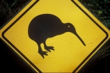 bird;color;colors;colour;colours;driving;emblem;icon;icons;kiwi;Kiwi-icon;Kiwi-icons;kiwiana;logo;native;nature;new-zealand;road-sign;symbol;symbols;yellow