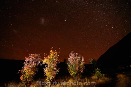 astronomy;autuminal;autumn;autumn-colour;autumn-colours;autumnal;Ben-Ohau;Canterbury;celestial-bodies;color;colors;colour;colours;constellation;constellations;dark;Dark-cloud-constellation;Dark-cloud-constellations;dark-nebula;dark-sky;deciduous;evening;fall;galaxies;galaxy;gold;golden;interstellar-cloud;leaf;leaves;Mackenzie-Country;Mackenzie-District;Mackenzie-Region;milky-way;Milky-Way-Galaxy;N.Z.;New-Zealand;night;night-sky;night-time;night_sky;nightsky;NZ;Ohau;orange-mountain-ash;planet;planets;rowan;S.I.;season;seasonal;seasons;SI;skies;sky;sorbus;South-Is;South-Island;space;star;star-gazing;starry;starry-night;starry-sky;stars;Sth-Is;the-Galaxy;The-milky-way;tree;trees;Twizel;yellow