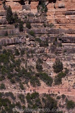 America;American-Southwest;Arizona;AZ;Bright-Angel-Track;Bright-Angel-Trail;Colorado-Plateau;Colorado-Plateau-Province;Gran-CaÃ±Ã³n;Grand-Canyon;Grand-Canyon-National-Park;Grand-Canyon-South-Rim;hiker;hikers;hiking-path;hiking-paths;hiking-track;hiking-tracks;hiking-trail;hiking-trails;Ongtupqa;path;paths;pathway;pathways;people;person;route;routes;South-Rim;South-Rim-Grand-Canyon;South-west-United-States;South-west-US;South-west-USA;South-western-United-States;South-western-US;South-western-USA;Southwest-United-States;Southwest-US;Southwest-USA;Southwestern-United-States;Southwestern-US;Southwestern-USA;States;Sth-Rim;The-Grand-Canyon;the-Southwest;tourism;tourist;tourists;track;tracks;trail;trails;tramping-track;tramping-tracks;tramping-trail;tramping-trails;U.S.A;UN-world-heritage-area;UN-world-heritage-site;UNESCO-World-Heritage-area;UNESCO-World-Heritage-Site;united-nations-world-heritage-area;united-nations-world-heritage-site;United-States;United-States-of-America;USA;walker;walkers;walking-path;walking-paths;walking-track;walking-tracks;walking-trail;walking-trails;walkway;walkways;Wi:kai:la;world-heritage;world-heritage-area;world-heritage-areas;World-Heritage-Park;World-Heritage-site;World-Heritage-Sites