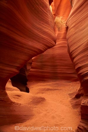 America;American-Southwest;Arizona;AZ;canyon;canyons;chasm;chasms;Colorado-Plateau;Colorado-Plateau-Province;eroded;erosion;geographic;geography;geological;geology;gorge;gorges;narrow-canyon;narrow-canyons;Navajo-Indian-Reservation;Navajo-Land;Navajo-Nation;Navajo-Reservation;Navajo-Sandstone;Page;Rattlesnake-Canyon;ravine;ravines;rock;rock-formation;rock-formations;rocks;Sandstone;slot-canyon;slot-canyons;South-west-United-States;South-west-US;South-west-USA;South-western-United-States;South-western-US;South-western-USA;Southwest-United-States;Southwest-US;Southwest-USA;Southwestern-United-States;Southwestern-US;Southwestern-USA;States;stone;the-Southwest;tumbleweed;tumbleweeds;U.S.A;United-States;United-States-of-America;unusual-natural-feature;unusual-natural-features;USA;valley;valleys