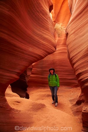 America;American-Southwest;Arizona;AZ;canyon;canyons;chasm;chasms;Colorado-Plateau;Colorado-Plateau-Province;eroded;erosion;geographic;geography;geological;geology;gorge;gorges;narrow-canyon;narrow-canyons;Navajo-Indian-Reservation;Navajo-Land;Navajo-Nation;Navajo-Reservation;Navajo-Sandstone;Page;people;person;Rattlesnake-Canyon;ravine;ravines;rock;rock-formation;rock-formations;rocks;Sandstone;slot-canyon;slot-canyons;South-west-United-States;South-west-US;South-west-USA;South-western-United-States;South-western-US;South-western-USA;Southwest-United-States;Southwest-US;Southwest-USA;Southwestern-United-States;Southwestern-US;Southwestern-USA;States;stone;the-Southwest;tourism;tourist;tourists;tumbleweed;tumbleweeds;U.S.A;United-States;United-States-of-America;unusual-natural-feature;unusual-natural-features;USA;valley;valleys;visitor;visitors