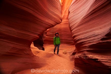 America;American-Southwest;Arizona;AZ;canyon;canyons;chasm;chasms;Colorado-Plateau;Colorado-Plateau-Province;curve;curves;eroded;erosion;geographic;geography;geological;geology;gorge;gorges;narrow-canyon;narrow-canyons;Navajo-Indian-Reservation;Navajo-Land;Navajo-Nation;Navajo-Reservation;Navajo-Sandstone;Page;people;person;Rattlesnake-Canyon;ravine;ravines;rock;rock-formation;rock-formations;rocks;Sandstone;slot-canyon;slot-canyons;South-west-United-States;South-west-US;South-west-USA;South-western-United-States;South-western-US;South-western-USA;Southwest-United-States;Southwest-US;Southwest-USA;Southwestern-United-States;Southwestern-US;Southwestern-USA;States;stone;the-Southwest;tourism;tourist;tourists;tumbleweed;tumbleweeds;U.S.A;United-States;United-States-of-America;unusual-natural-feature;unusual-natural-features;USA;valley;valleys;visitor;visitors