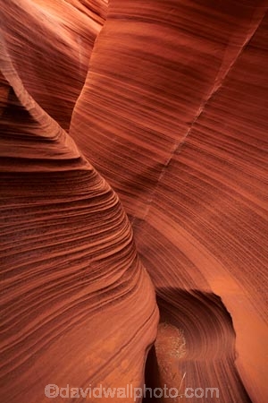 America;American-Southwest;Arizona;AZ;canyon;canyons;chasm;chasms;Colorado-Plateau;Colorado-Plateau-Province;curve;curves;eroded;erosion;geographic;geography;geological;geology;gorge;gorges;narrow-canyon;narrow-canyons;Navajo-Indian-Reservation;Navajo-Land;Navajo-Nation;Navajo-Reservation;Navajo-Sandstone;Page;Rattlesnake-Canyon;ravine;ravines;rock;rock-formation;rock-formations;rocks;Sandstone;slot-canyon;slot-canyons;South-west-United-States;South-west-US;South-west-USA;South-western-United-States;South-western-US;South-western-USA;Southwest-United-States;Southwest-US;Southwest-USA;Southwestern-United-States;Southwestern-US;Southwestern-USA;States;stone;the-Southwest;U.S.A;United-States;United-States-of-America;unusual-natural-feature;unusual-natural-features;USA;valley;valleys
