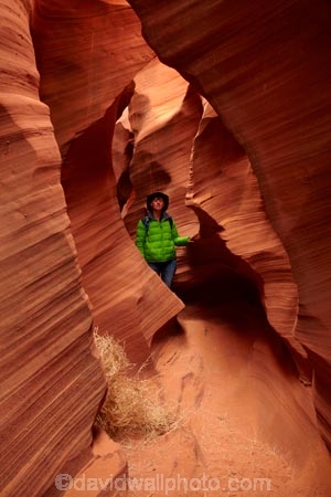 America;American-Southwest;Arizona;AZ;canyon;canyons;chasm;chasms;Colorado-Plateau;Colorado-Plateau-Province;eroded;erosion;geographic;geography;geological;geology;gorge;gorges;narrow-canyon;narrow-canyons;Navajo-Indian-Reservation;Navajo-Land;Navajo-Nation;Navajo-Reservation;Navajo-Sandstone;Page;people;person;Rattlesnake-Canyon;ravine;ravines;rock;rock-formation;rock-formations;rocks;Sandstone;slot-canyon;slot-canyons;South-west-United-States;South-west-US;South-west-USA;South-western-United-States;South-western-US;South-western-USA;Southwest-United-States;Southwest-US;Southwest-USA;Southwestern-United-States;Southwestern-US;Southwestern-USA;States;stone;the-Southwest;tourism;tourist;tourists;tumbleweed;tumbleweeds;U.S.A;United-States;United-States-of-America;unusual-natural-feature;unusual-natural-features;USA;valley;valleys;visitor;visitors