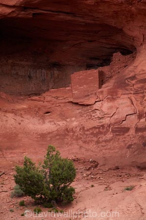 abandon;abandoned;America;American-Southwest;Anasazi-dwelling;Anasazi-ruin;Anasazi-ruins;Anasazi-site;Anasazi-sites;Ancestral-Pueblo-peoples;ancient-Anasazi-cliff-dwelling;ancient-cliff-dwellers;ancient-Native-American-culture;Ancient-Pueblo-peoples;Ancient-Puebloans;Arizona;AZ;building;buildings;character;cliff;cliff-dwelling;cliff-dwellings;cliffs;Colorado-Plateau;Colorado-Plateau-Province;derelict;derelict-building;dereliction;deserted;desolate;desolation;destruction;heritage;historic;historic-building;historic-buildings;Historic-Ruins;historical;historical-building;historical-buildings;history;Monument-Valley;Monument-Valley-Navajo-Tribal-Park;Mystery-Valley;Navajo-Indian-Reservation;Navajo-Nation;Navajo-Nation-Reservation;Navajo-Reservation;neglect;neglected;old;old-fashioned;old_fashioned;Oljato;Oljato-Monument-Valley;Oljato_Monument-Valley;rock-overhang;rock-overhangs;ruin;ruins;run-down;rustic;South-west-United-States;South-west-US;South-west-USA;South-western-United-States;South-western-US;South-western-USA;Southwest-United-States;Southwest-US;Southwest-USA;Southwestern-United-States;Southwestern-US;Southwestern-USA;Square-House-Ruin;Square-House-Ruins;States;the-Southwest;tradition;traditional;TsÃ©-Bii-Ndzisgaii;U.S.A;United-States;United-States-of-America;USA;UT;Utah;valley-of-the-rocks;vintage