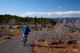 America;American-Southwest;Arizona;AZ;bicycle;bicycles;bike;bike-track;bike-tracks;bike-trail;bike-trails;bikes;boy;boys;canyon;canyons;Colorado-Plateau;Colorado-Plateau-Province;cycle;cycle-track;cycle-tracks;cycle-trail;cycle-trails;cycler;cyclers;cycles;cycleway;cycleways;cyclist;cyclists;excercise;excercising;Gran-Cañón;Grand-Canyon;Grand-Canyon-National-Park;Grand-Canyon-South-Rim;male;males;mountain-bike;mountain-biker;mountain-bikers;mountain-bikes;mtn-bike;mtn-biker;mtn-bikers;mtn-bikes;Ongtupqa;people;person;push-bike;push-bikes;push_bike;push_bikes;pushbike;pushbikes;Rim-Trail;South-Rim;South-Rim-Grand-Canyon;South-Rim-Trail;South-west-United-States;South-west-US;South-west-USA;South-western-United-States;South-western-US;South-western-USA;Southwest-United-States;Southwest-US;Southwest-USA;Southwestern-United-States;Southwestern-US;Southwestern-USA;States;Sth-Rim;The-Grand-Canyon;the-Southwest;tourism;tourist;tourists;U.S.A;UN-world-heritage-area;UN-world-heritage-site;UNESCO-World-Heritage-area;UNESCO-World-Heritage-Site;united-nations-world-heritage-area;united-nations-world-heritage-site;United-States;United-States-of-America;USA;Wi:kai:la;world-heritage;world-heritage-area;world-heritage-areas;World-Heritage-Park;World-Heritage-site;World-Heritage-Sites