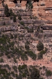 America;American-Southwest;Arizona;AZ;Bright-Angel-Track;Bright-Angel-Trail;Colorado-Plateau;Colorado-Plateau-Province;Gran-Cañón;Grand-Canyon;Grand-Canyon-National-Park;Grand-Canyon-South-Rim;hiker;hikers;hiking-path;hiking-paths;hiking-track;hiking-tracks;hiking-trail;hiking-trails;Ongtupqa;path;paths;pathway;pathways;people;person;route;routes;South-Rim;South-Rim-Grand-Canyon;South-west-United-States;South-west-US;South-west-USA;South-western-United-States;South-western-US;South-western-USA;Southwest-United-States;Southwest-US;Southwest-USA;Southwestern-United-States;Southwestern-US;Southwestern-USA;States;Sth-Rim;The-Grand-Canyon;the-Southwest;tourism;tourist;tourists;track;tracks;trail;trails;tramping-track;tramping-tracks;tramping-trail;tramping-trails;U.S.A;UN-world-heritage-area;UN-world-heritage-site;UNESCO-World-Heritage-area;UNESCO-World-Heritage-Site;united-nations-world-heritage-area;united-nations-world-heritage-site;United-States;United-States-of-America;USA;walker;walkers;walking-path;walking-paths;walking-track;walking-tracks;walking-trail;walking-trails;walkway;walkways;Wi:kai:la;world-heritage;world-heritage-area;world-heritage-areas;World-Heritage-Park;World-Heritage-site;World-Heritage-Sites