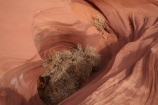 America;American-Southwest;Arizona;AZ;canyon;canyons;chasm;chasms;Colorado-Plateau;Colorado-Plateau-Province;eroded;erosion;geographic;geography;geological;geology;gorge;gorges;narrow-canyon;narrow-canyons;Navajo-Indian-Reservation;Navajo-Land;Navajo-Nation;Navajo-Reservation;Navajo-Sandstone;Page;Rattlesnake-Canyon;ravine;ravines;rock;rock-formation;rock-formations;rocks;Sandstone;slot-canyon;slot-canyons;South-west-United-States;South-west-US;South-west-USA;South-western-United-States;South-western-US;South-western-USA;Southwest-United-States;Southwest-US;Southwest-USA;Southwestern-United-States;Southwestern-US;Southwestern-USA;States;stone;the-Southwest;tumbleweed;tumbleweeds;U.S.A;United-States;United-States-of-America;unusual-natural-feature;unusual-natural-features;USA;valley;valleys