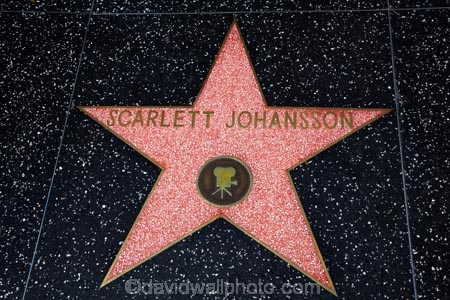 actor;actors;actress;actresses;America;CA;California;entertainment-industry;fame;famous;Hollywood-Blvd;Hollywood-Boulevard;Hollywood-Walk-of-Fame;L.A.;LA;Los-Angeles;Scarlett-Johansson;Scarlett-Johansson-actress;Scarlett-Johansson-star;star;stars;States;U.S.A;United-States;United-States-of-America;USA;West-Coast;West-United-States;West-US;West-USA;Western-United-States;Western-US;Western-USA