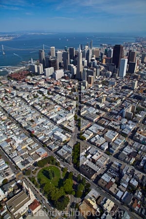 aerial;aerial-image;aerial-images;aerial-photo;aerial-photograph;aerial-photographs;aerial-photography;aerial-photos;aerial-view;aerial-views;aerials;America;American;Bay-Area;Bay-Bridge;c.b.d.;CA;California;CBD;central-business-district;cities;city;city-centre;cityscape;cityscapes;Columbus-Ave;Columbus-Avenue;down-town;downtown;downtown-San-Francisco;Financial-District;high-rise;high-rises;high_rise;high_rises;highrise;highrises;multi_storey;multi_storied;multistorey;multistoried;neigborhood;neigbourhood;neighborhood;neighborhoods;neighbourhood;neighbourhoods;North-Beach;North-Beach-neighborhood;North-Beach-neighbourhood;office;office-block;office-blocks;office-building;office-buildings;offices;residences;residential;residential-housing;San-Francisco;San-Francisco-Bay;San-Francisco-Bay-Area;San-Francisco-CBD;San-Franciscoâ€“Oakland-Bay-Bridge;sky-scraper;sky-scrapers;sky_scraper;sky_scrapers;skyscraper;skyscrapers;States;street;streets;suburb;suburban;suburbia;suburbs;tower-block;tower-blocks;Transamerica-Building;Transamerica-Pyramid;Transamerica-skyscraper;Transamerica-Tower;U.S.A;United-States;United-States-of-America;urban;USA;Washington-Square-Park;West-Coast;West-United-States;West-US;West-USA;Western-United-States;Western-US;Western-USA