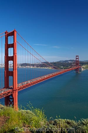 America;American;Bay-Area;bridge;bridges;CA;California;California-SR-1;California-State-Route-1;car;cars;commuter;commuters;Golden-Gate;Golden-Gate-National-Recreation-Area;Golden-Gate-strait;Golden-Gate-straits;headland;headlands;Icon;Iconic;infrastructure;Landmark;Landmarks;Marin-County;Marin-Headland;Marin-Headlands;Marin-Peninsula;mulitlaned;multi_lane;multi_laned-raod;multi_laned-road;multilane;networks;road-bridge;road-bridges;road-system;road-systems;roading;roading-network;roading-system;San-Francisco;San-Francisco-Bay;San-Francisco-Bay-Area;States;suspension-bridge;suspension-bridges;traffic;traffic-bridge;traffic-bridges;transport;transport-network;transport-networks;transport-system;transport-systems;transportation;transportation-system;transportation-systems;U.S.-Route-101;U.S.A;United-States;United-States-of-America;US-101;USA;West-Coast;West-United-States;West-US;West-USA;Western-United-States;Western-US;Western-USA;Wonder-of-the-Modern-World;Wonders-of-the-Modern-World