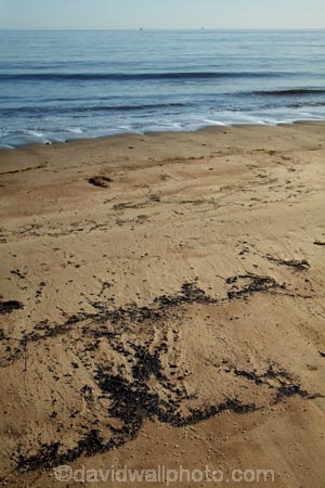 America;American;beach;beaches;CA;California;California-1;California-State-Route-1;Central-Coast;coast;coastal;coastline;coastlines;coasts;County-of-Santa-Barbara;El-Capitan-State-Beach;El-Capitán-State-Beach;environment;environmental;ocean;oceans;oil;oil-slick;oil-slicks;oil-spill;oil-spills;Pacific-Coast-Highway;Pacific-Coast-Road;Pacific-Ocean;pollute;polluting;pollution;sand;sandy;Santa-Barbara-County;sea;seas;shore;shoreline;shorelines;shores;slick;slicks;States;The-Central-Coast;U.S.A;United-States;United-States-of-America;USA;water;West-Coast;West-United-States;West-US;West-USA;Western-United-States;Western-US;Western-USA