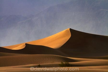 8489;amargosa-mountains;amargosa-range;america;american;CA;california;death;Death-Valley;Death-Valley-N.P.;Death-Valley-National-Park;desert;dune;dunes;Grapevine-Mountains;Grapevine-Mtns;Great-Basin;International-Biosphere-Reserve;Inyo-County;Mesquite-Flat;Mesquite-Flat-Dunes;Mesquite-Flat-Sand-Dunes;mojave;Mojave-Desert;national;national-park;National-parks;park;sand;sand-dune;Sand-Dunes;sand-hill;sand-hills;sand-storm;sand-storms;sand_dune;sand_dunes;sand_hill;sand_hills;sand_storm;sand_storms;sanddune;sanddunes;sandhill;sandhills;sandstorm;sandstorms;sandy;states;stovepipe;Stovepipe-Wells;The-Great-Basin;U.S.A;United-States;United-States-of-America;usa;valley;wells;west-coast;West-United-States;West-US;West-USA;Western-United-States;Western-US;Western-USA;wind;wind-storm;wind-storms;windy