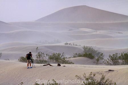 8507;america;american;CA;california;death;Death-Valley;Death-Valley-N.P.;Death-Valley-National-Park;desert;dune;dunes;Great-Basin;hiker;hikers;International-Biosphere-Reserve;Inyo-County;Mesquite-Flat;Mesquite-Flat-Dunes;Mesquite-Flat-Sand-Dunes;mojave;Mojave-Desert;national;national-park;National-parks;park;people;person;photographer;photographers;photography;sand;sand-dune;Sand-Dunes;sand-hill;sand-hills;sand-storm;sand-storms;sand_dune;sand_dunes;sand_hill;sand_hills;sand_storm;sand_storms;sanddune;sanddunes;sandhill;sandhills;sandstorm;sandstorms;sandy;states;stovepipe;Stovepipe-Wells;The-Great-Basin;tourism;tourist;tourists;U.S.A;United-States;United-States-of-America;usa;valley;visitor;visitors;walker;walkers;wells;west-coast;West-United-States;West-US;West-USA;Western-United-States;Western-US;Western-USA;wind;wind-storm;wind-storms;windy