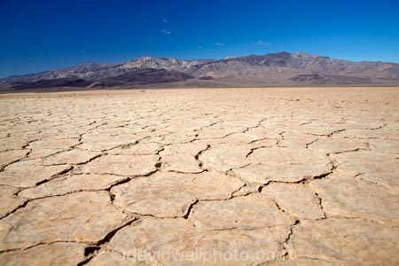 4229;alkalii-flat;america;american;Argus-Range;barren;barreness;basin;CA;california;clay-pan;clay-pans;crack;cracked;curled-mud;death;Death-Valley;Death-Valley-N.P.;Death-Valley-National-Park;depression;desert;deserts;desolate;dried-mud;drought;drought-prone;droughts;dry;dry-lake;dry-lake-bed;dry-lake-beds;dry-lakes;empty;endorheic-basin;endorheric;endorheric-basin;endorheric-basins;endorheric-lake;extreme;flat;geographic;geography;glare;glary;Great-Basin;International-Biosphere-Reserve;Inyo-County;lake;lake-bed;lake-beds;lakes;mojave;Mojave-Desert;national;national-park;National-parks;pan;Panamint-Valley;pans;parched-dry;park;pattern;patterns;playa;playas;sabkha;saline;salt;salt-crust;salt-flat;salt-flats;salt-lake;salt-lakes;salt-pan;salt-pans;salt_pan;salt_pans;saltpan;saltpans;salty;states;The-Great-Basin;U.S.A;United-States;United-States-of-America;usa;valley;vast;vlei;waterless;west-coast;West-United-States;West-US;West-USA;Western-United-States;Western-US;Western-USA;white;white-surface