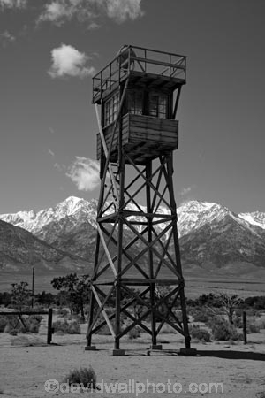 America;American;b-amp;-w;b-and-w;bamp;w;black-amp;-white;black-and-white;black_and_white;CA;California;gaol;gaols;gray;grey;Inyo-County;jail;jails;Japanese-American;Japanese-Americans;Lone-Pine;lookout-tower;lookout-towers;Manzanar-National-Historic-Site;Manzanar-Prison;Manzanar-Prison-Camp;Manzanar-War-Relocation-Center;monochromatic;monochrome;monochromic;monochromous;mountain;mountain-range;mountain-ranges;mountains-range;observation-tower;observation-towers;Owens-Valley;P.O.W-camp;P.O.W.-camps;POW-camp;POW-camps;prison;prison-camp;prison-camps;prisoner-of-war-camp;prisoner-of-war-camps;prisons;ranges;Sierra-Nevada;Sierra-Nevada-Mountain-Range;Sierra-Nevadas;snow;snow-capped;snow_capped;snowcapped;snowy;States;U.S.A;United-States;United-States-of-America;USA;watch-tower;watch-towers;watchtower;watchtowers;West-Coast;West-United-States;West-US;West-USA;Western-United-States;Western-US;Western-USA;wooden-tower;wooden-towers;WWII-prison-camp