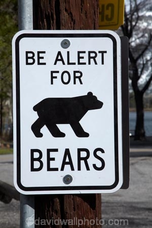 America;American;bear;Bear-sign;Bear-signs;Bear-warning-sign;bears;CA;California;danger;Eastern-Sierra;Mono-County;Sierra-Nevada;Sierra-Nevada-Mountain-Range;Sierra-Nevadas;Silver-Lake;Silver-Lake-Resort;States;U.S.A;United-States;United-States-of-America;USA;warning-sign;warning-signs;West-Coast;West-United-States;West-US;West-USA;Western-United-States;Western-US;Western-USA;wildlife