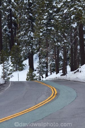 s-bend;s-bends;7990-feet;7990-ft;altitude;America;American;bend;bends;CA;California;Carson-Pass;Carson-Pass-Highway;Carson-Spur;cold;conifer;conifers;corner;corners;curve;curves;danger;dangerous;elevation-7990ft;forest;forests;icy-road;icy-roads;Kit-Carson-Pass;mountain;mountain-range;mountain-ranges;mountains-range;no-passing-line;no-passing-lines;ranges;road;roads;s-bend;s-bends;Sierra-Nevada;Sierra-Nevada-Mountain-Range;Sierra-Nevadas;slippery-road;slippery-roads;snow;snow-capped;snow_capped;snowcapped;snowy;spring;spring-time;spring_time;SR-88;State-Route-88;States;tree;trees;U.S.A;United-States;United-States-of-America;USA;West-Coast;West-United-States;West-US;West-USA;Western-United-States;Western-US;Western-USA;winter-driving