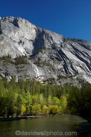 America;American;bluff;bluffs;brook;brooks;CA;California;cliff;cliffs;creek;creeks;forest;forested;forests;granite-dome;Half-Dome;Mirror-Lake;Mirror-Lake-Look-Trail;Mirror-Lake-Loop-Trail;Mirror-Lake-Trail;mountain;mountainous;mountains;national-park;national-parks;Sierra-Nevada;Sierra-Nevada-foothills;States;stream;streams;Tenaya-Canyon;Tenaya-Creek;Tenaya-River;Tenaya-Stream;tree;trees;U.S.A;UN-world-heritage-area;UN-world-heritage-site;UNESCO-World-Heritage-area;UNESCO-World-Heritage-Site;united-nations-world-heritage-area;united-nations-world-heritage-site;United-States;United-States-of-America;USA;valley;valleys;water;West-Coast;West-United-States;West-US;West-USA;Western-United-States;Western-US;Western-USA;world-heritage;world-heritage-area;world-heritage-areas;World-Heritage-Park;World-Heritage-site;World-Heritage-Sites;Yosemite;Yosemite-N.P.;Yosemite-Nat-Pk;Yosemite-National-Park;Yosemite-NP;Yosemite-Valley