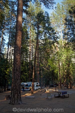 America;American;CA;California;Camp;Camp-Ground;Camp-Grounds;Camp-Site;Camp-Sites;camper;camper-van;camper-vans;camper_van;camper_vans;campers;campervan;campervans;campground;campgrounds;Camping;Camping-Area;Camping-Areas;Camping-Ground;Camping-Grounds;Camping-Site;Camping-Sites;Caravan-Park;Caravan-Parks;Cruise-America-R.V.;Cruise-America-R.V.s;Cruise-America-RV;Cruise-America-RVs;driving;forest;forested;forests;highway;highways;Holiday;Holiday-Park;Holiday-Parks;holidays;motor-caravan;motor-caravans;motor-home;motor-homes;motor_home;motor_homes;motorhome;motorhomes;national-park;national-parks;open-road;open-roads;R.V.;R.V.s;recreational-vehicle;recreational-vehicles;road;road-trip;roads;rv;rvs;Sierra-Nevada;Sierra-Nevada-foothills;States;tour;touring;tourism;tourist;tourists;transport;transportation;travel;traveler;travelers;traveling;traveller;travellers;travelling;tree;trees;trip;U.S.A;UN-world-heritage-area;UN-world-heritage-site;UNESCO-World-Heritage-area;UNESCO-World-Heritage-Site;united-nations-world-heritage-area;united-nations-world-heritage-site;United-States;United-States-of-America;Upper-Pines-Campground;USA;vacation;vacations;van;vans;West-Coast;West-United-States;West-US;West-USA;Western-United-States;Western-US;Western-USA;world-heritage;world-heritage-area;world-heritage-areas;World-Heritage-Park;World-Heritage-site;World-Heritage-Sites;Yosemite;Yosemite-N.P.;Yosemite-Nat-Pk;Yosemite-National-Park;Yosemite-NP;Yosemite-Valley
